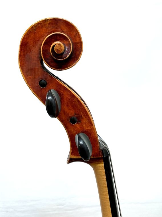 No Label Mittenwald Cello (ノーラベル・ミッテンバルト