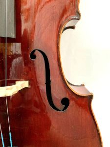 No Label Mittenwald Cello (ノーラベル・ミッテンバルト