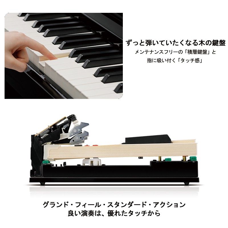 CA401LO [プレミアムライトオーク調仕上げ] | 【クロサワ楽器店
