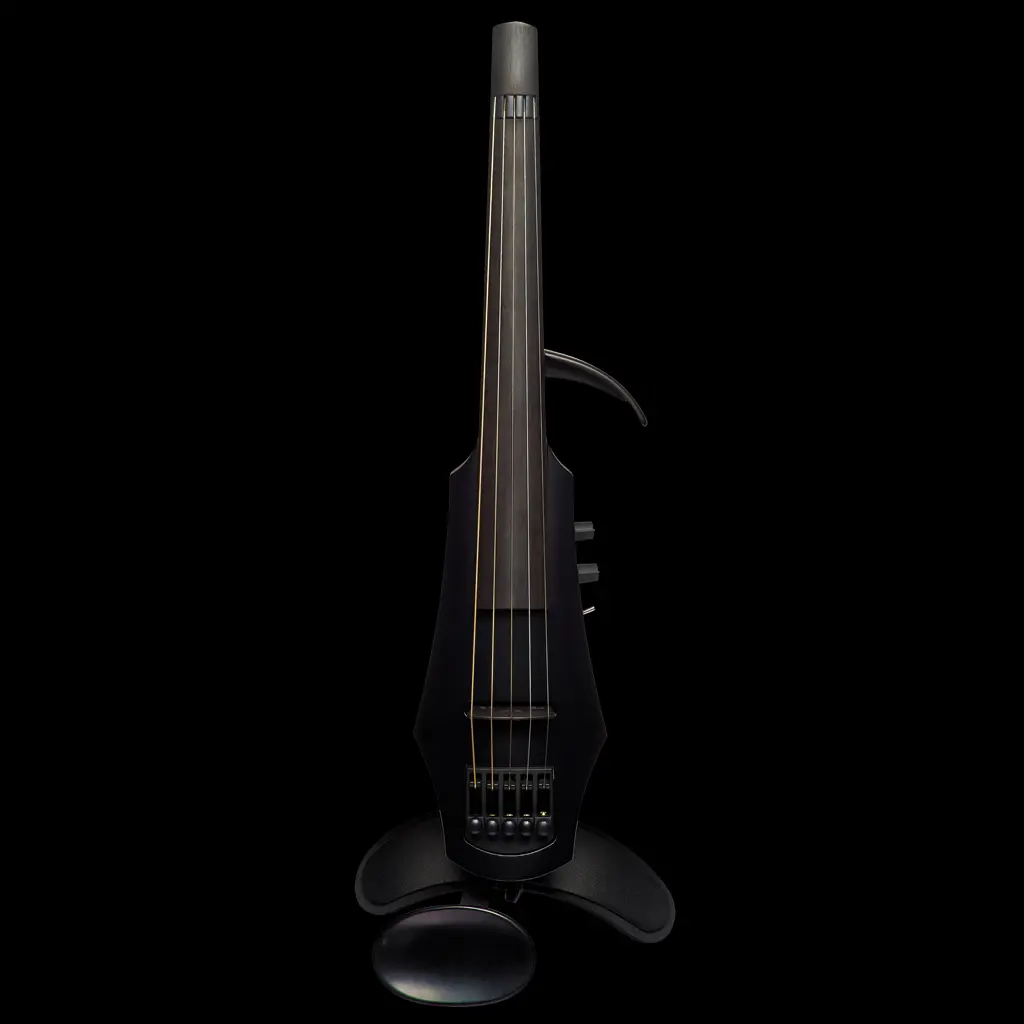 NXTa5《Black》 | 【クロサワ楽器店オンラインショップ】いい楽器との