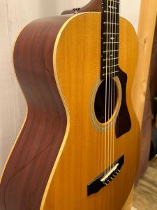 GAD F-40P | 【クロサワ楽器店オンラインショップ】いい楽器とのいい