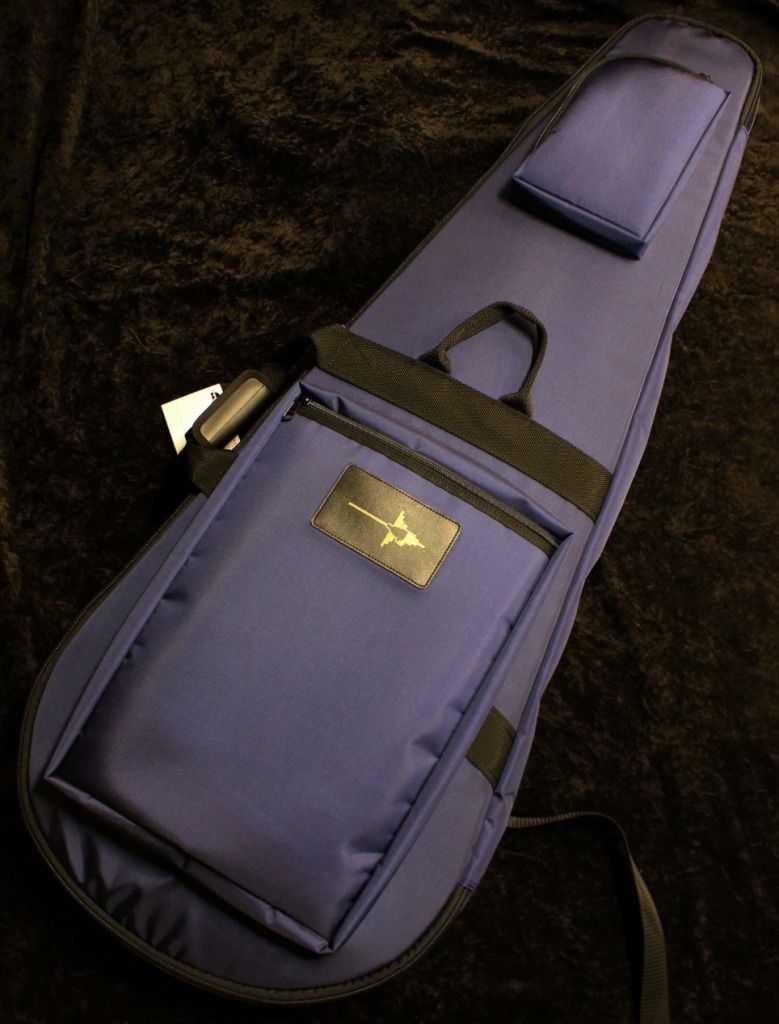 Protect Case for Guitar Allround 