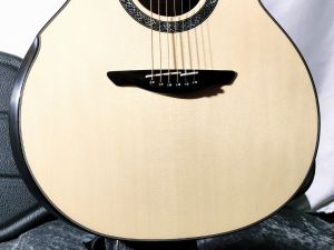 L2-320B Celtic Gloss #2500 | 【クロサワ楽器店オンラインショップ