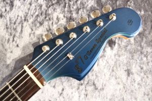 g'7 Special Guitars g7-PJ/R FL 希少フレットレス g'7 Special Guitars g7-PJ/R FL 希少フレットレス
