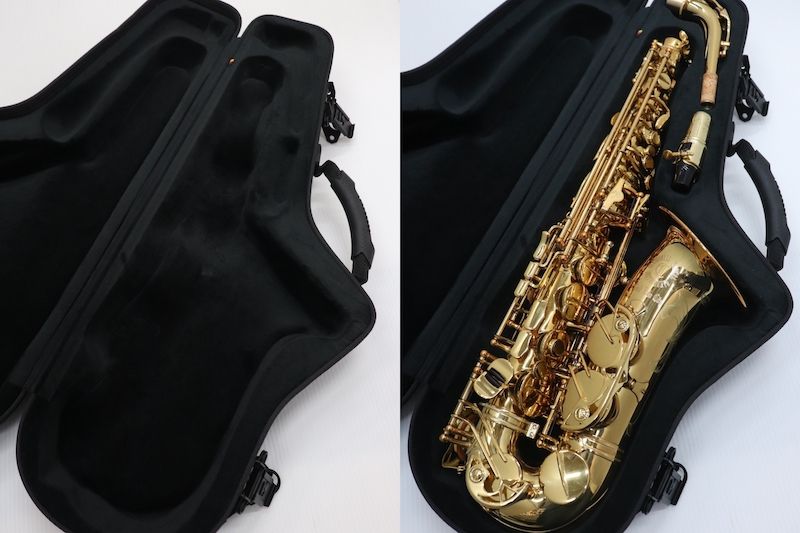 51092-JUNGLE | 【クロサワ楽器店オンラインショップ】いい楽器との