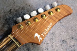 ペールムーンエボニー指板1枚 Ibanez】Q (QUEST) Series より、水墨画の様な杢目が特徴的なペール