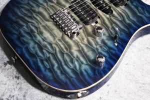 T's Guitars DH-250 ネック　ブリッジ T's Guitars DH-250 ネック ブリッジ T's Guitars DST-Pro24