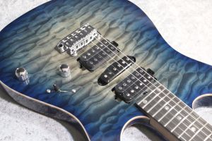 Custom Order DST-Pro24 5A Ouilt/Ash Fjord Burst #032679