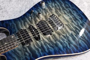 T's Guitars DH-250 ネック　ブリッジ a0b5d8d3-c90e-4627-aa45-