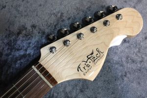 2025年】高評価レビューアイテム特集 Dover / Guitar TMG SSH