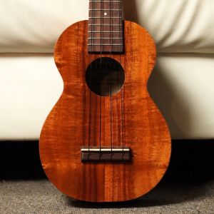 Kamaka HF-1 2019年製