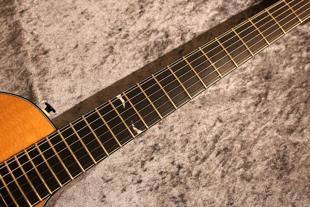 ギター Nakagawa Guitars Holy Ghost その他 Holy Ghost Bird | 【クロサワ楽器店オンラインショップ