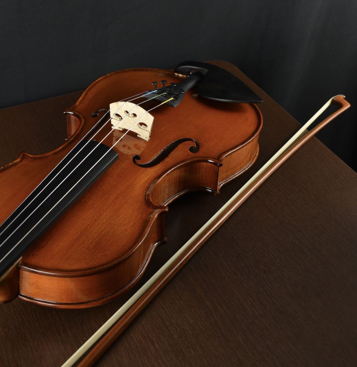 Gliga Gems 4/4 バイオリンセット