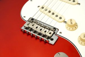 ※専用 FUJIGEN Neo Classic NST10MAL 中古美品 FUJIGEN(FGN) Neo Classic NTE Series NTE110MMHT-NT (Natural