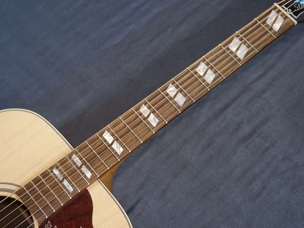 Hummingbird Studio Rosewood ~Satin Natural~ #22633042