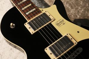 Standard Collection H-150 ~Ebony~ #1210450 | 【クロサワ楽器店