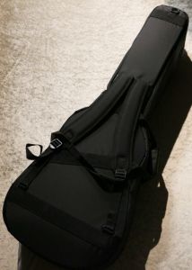 Protect Case for AG Dreadnought 