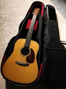 Protect Case for AG Dreadnought 