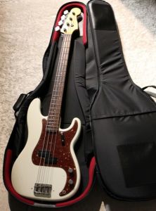 Protect Case for Bass 