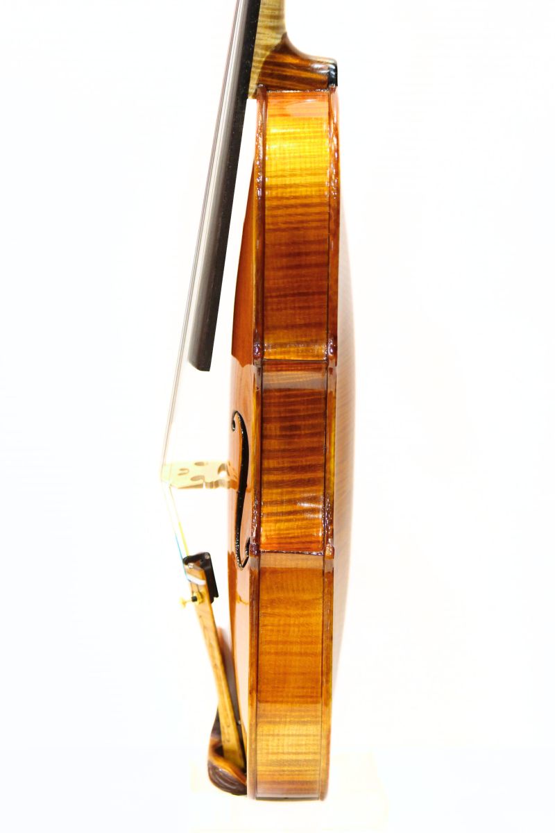 Gliga Maestro Genova | 【クロサワ楽器店オンラインショップ】いい