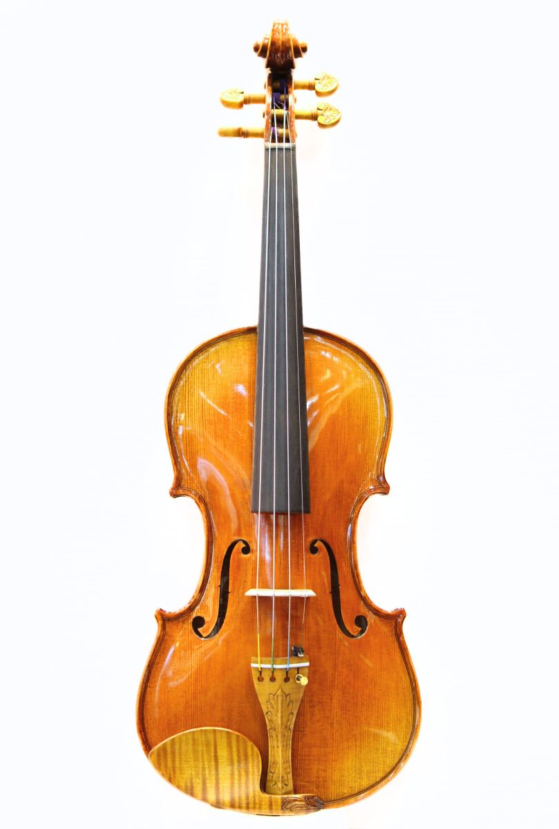 Gliga Maestro Genova | 【クロサワ楽器店オンラインショップ】いい