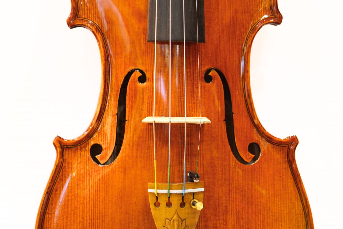 Gliga Maestro Genova | 【クロサワ楽器店オンラインショップ】いい