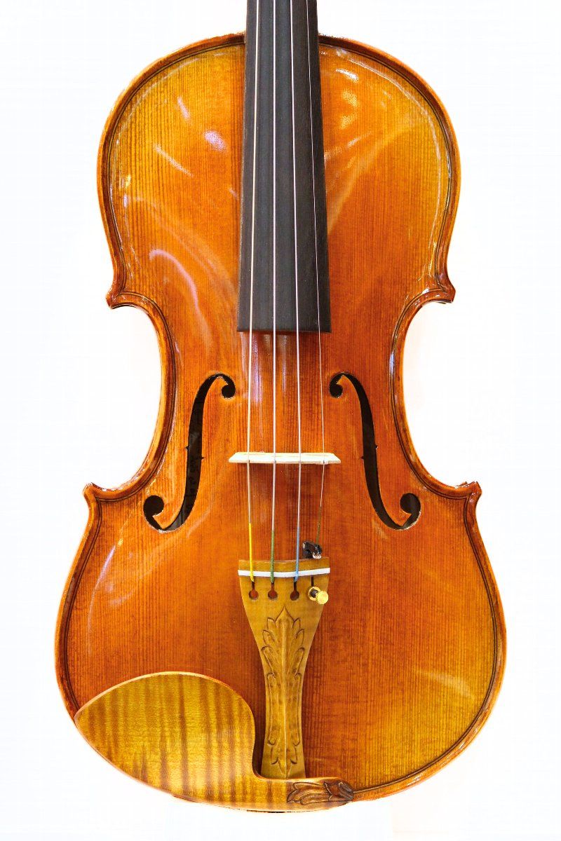 Gliga Maestro Genova | 【クロサワ楽器店オンラインショップ】いい