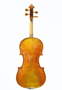 Gliga Maestro Genova | 【クロサワ楽器店オンラインショップ】いい
