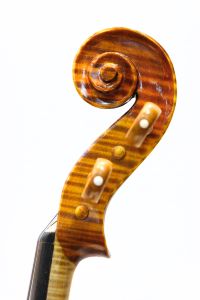 Gliga Maestro Genova | 【クロサワ楽器店オンラインショップ】いい