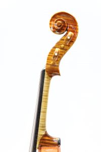 Gliga Maestro Genova | 【クロサワ楽器店オンラインショップ】いい