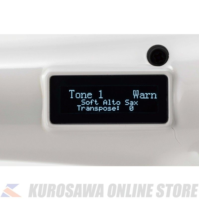 その他 電子サックス・Elesa10 レッド [ELS10RD] | 【クロサワ楽器店