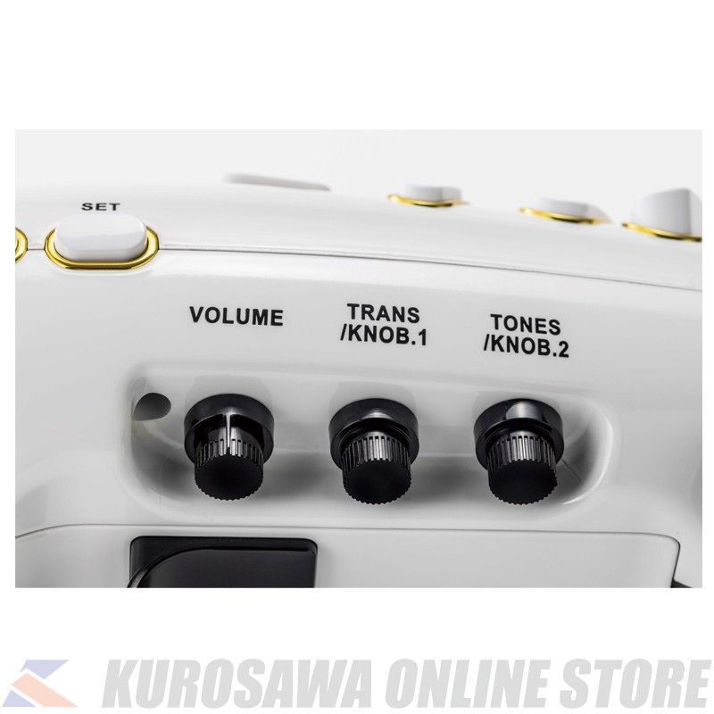 【未開封新品】タホーンELS10RD　 電子サックス Elesa10 バッグあり TAHORNG ELS10RD/専用バッグ付属 レッド タホーン 電子サックス