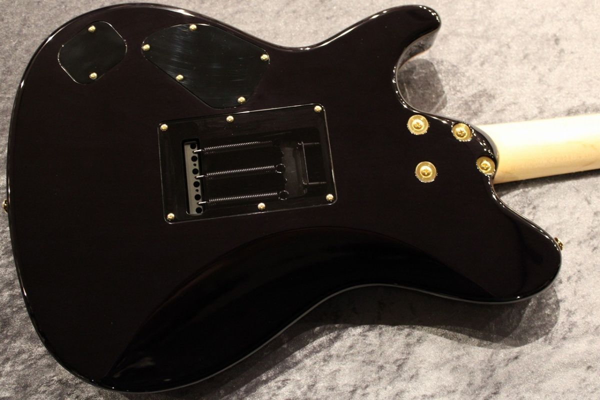 Custom Order DS496IR FM/ASH/HM Trans Black #S230110