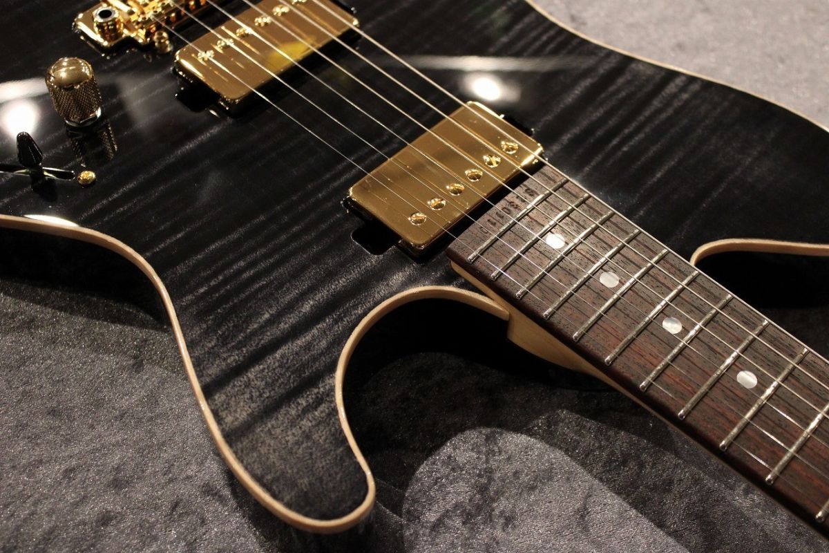 Custom Order DS496IR FM/ASH/HM Trans Black #S230110