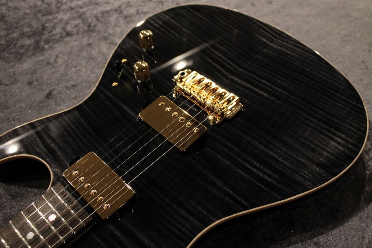 Custom Order DS496IR FM/ASH/HM Trans Black #S230110
