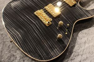 Custom Order DS496IR FM/ASH/HM Trans Black #S230110