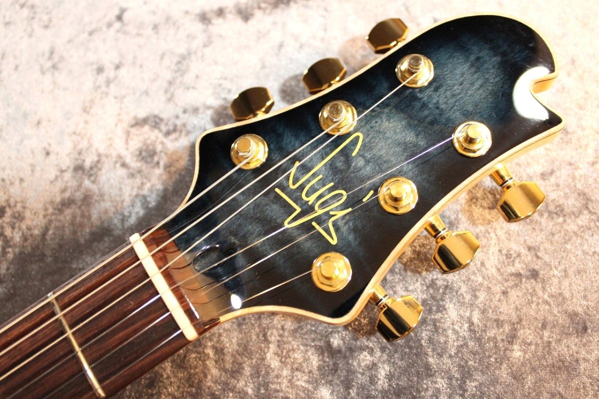 Custom Order DS496IR EM/ASH/HM Dark Ocean Blue Burst