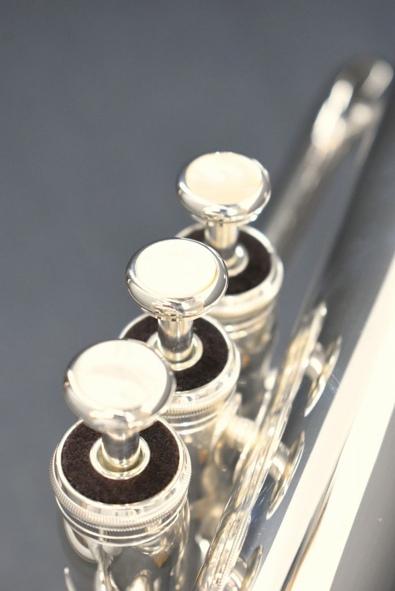 1646GBS【新品】 | 【クロサワ楽器店オンラインショップ】いい楽器との