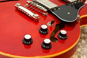 Epiphone Dot ES-339 BP Black Pearl 2013年製 買取りました