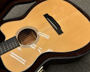 入荷情報】アディロンダックスプルーストップ、ホンジュラス
