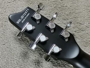 OL-FL-FM-P -Satin See Thru Blue- | 【クロサワ楽器店オンライン