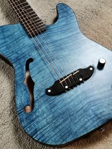 ギター somebody2love SCHECTER SERIES:OL-FL S OL-FL-P -Satin Natural- | 【クロサワ楽器店オンラインショップ