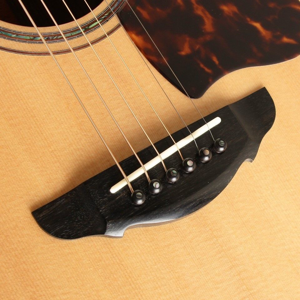 その他 50th Anniversary PTJ-100C MS GRAPE | 【クロサワ楽器店