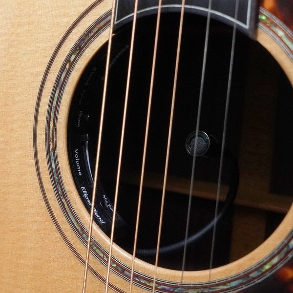 その他 50th Anniversary PTJ-100 MS GRAPE | 【クロサワ楽器店