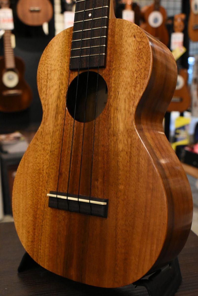 HF-2 #240118 | 【クロサワ楽器店オンラインショップ】いい楽器との 