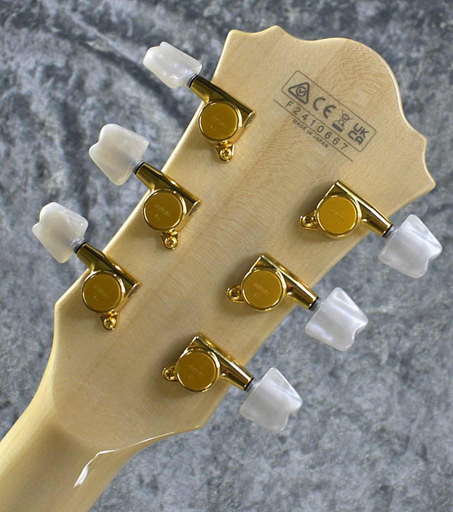 GB-10 NAT : Natural F2410667 | 【クロサワ楽器店オンラインショップ 