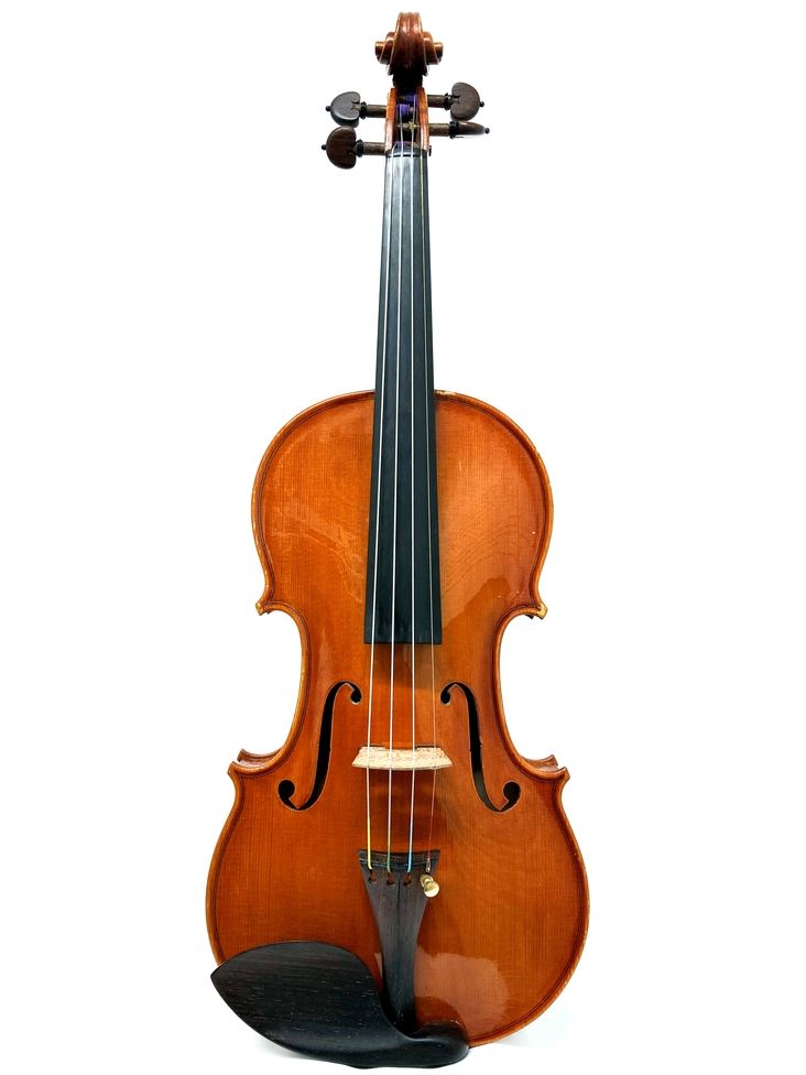 MAGICO Santo Verde サントヴェルデ バイオリン 2021年製 Diego Alberto Serrano 2012年 (ディエゴ・アルベルト・セラーノ