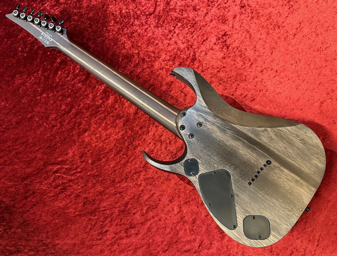 RGD71ALPA w/Poplar Burl top & Bare Knuckle Aftermath pickups 