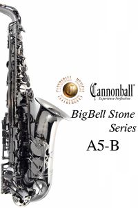 サキソフォン、ハードケースの管楽器検索結果一覧 | 【クロサワ楽器店