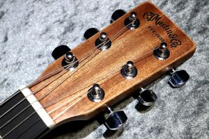 Martin DJR-10E エレアコ オール単板 StreetMaster Martin D Jr E StreetMaster® Acoustic-Electric Guitar